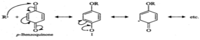 Short & Long Answer Questions: Polymers | Chemistry for JEE Main & Advanced