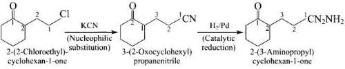 NCERT Exemplar: Amines | Chemistry Class 12 - NEET