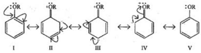 NCERT Exemplar: Hydrocarbons | Chemistry Class 11 - NEET