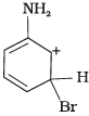 NCERT Exemplar: Amines | Chemistry Class 12 - NEET
