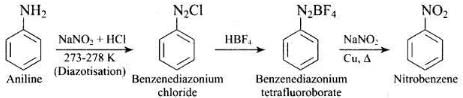 NCERT Exemplar: Amines | Chemistry Class 12 - NEET