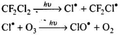 NCERT Exemplar: Environmental Chemistry (Old NCERT) | Chemistry for JEE Main & Advanced
