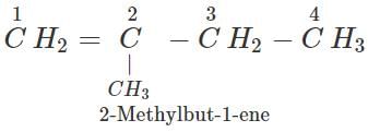 Short & Long Answer Questions: Hydrocarbons | Organic Chemistry for NEET