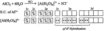 NCERT Exemplar: The p-Block Elements (Class 11) | Chemistry Class 11 - NEET