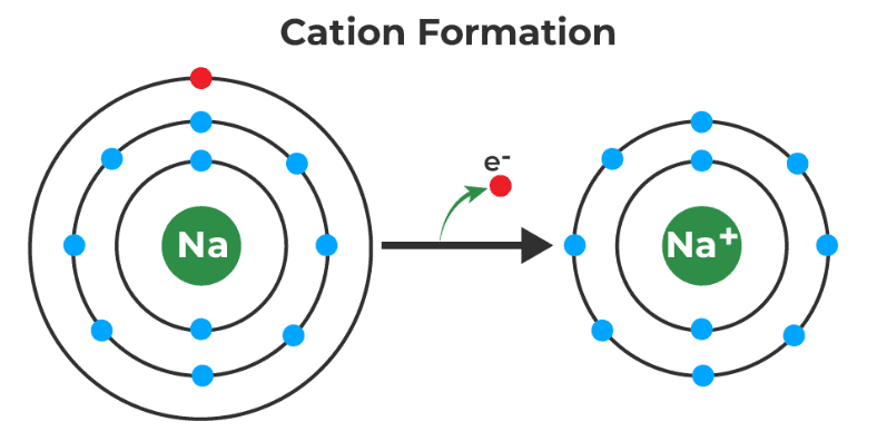 Mnemonics: Redox Reaction | Chemistry Class 11 - NEET