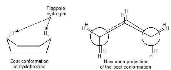 Conformational Isomers - Class 11