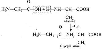 NCERT Exemplar: Biomolecules | Chemistry Class 12 - NEET