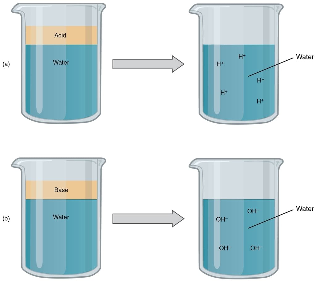 Acids, Bases & Salts | Chemistry Class 11 - NEET