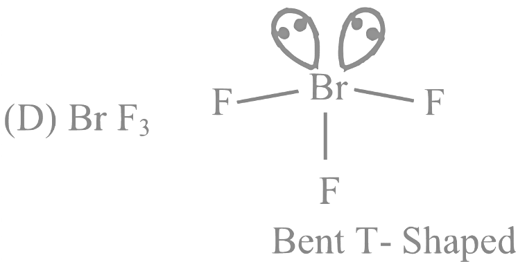 JEE Main Previous Year Questions (2023): Chemical Bonding & Molecular Structure