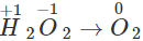 Short & Long Answer Questions: Redox Reactions | Physical Chemistry for NEET