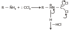 Physical & Chemical Properties of Amines | Chemistry Class 12 - NEET