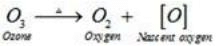 Short & Long Answer Question: The p-Block Elements (Group 15-18) | Inorganic Chemistry for NEET
