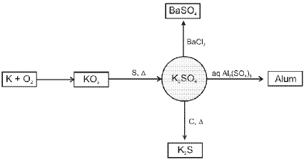 Important S-Block Elements & Their Compounds Formulas for JEE and NEET