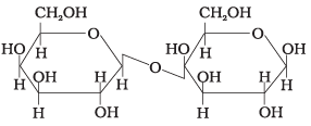 NCERT Exemplar: Biomolecules | Chemistry Class 12 - NEET