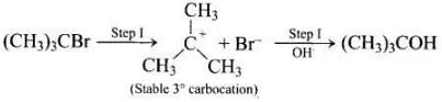 NCERT Exemplar: Haloalkanes and Haloarenes | Chemistry for JEE Main & Advanced
