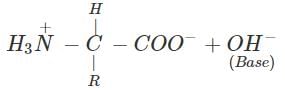 Short & Long Answer Questions: Biomolecules | Organic Chemistry for NEET