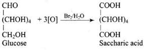 NCERT Exemplar: Biomolecules | Chemistry Class 12 - NEET