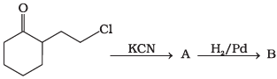 NCERT Exemplar: Amines | Chemistry Class 12 - NEET