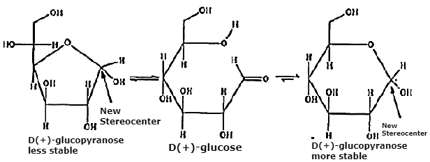 Solved Subjective Problems : Biomolecules & Polymers | Organic Chemistry for NEET