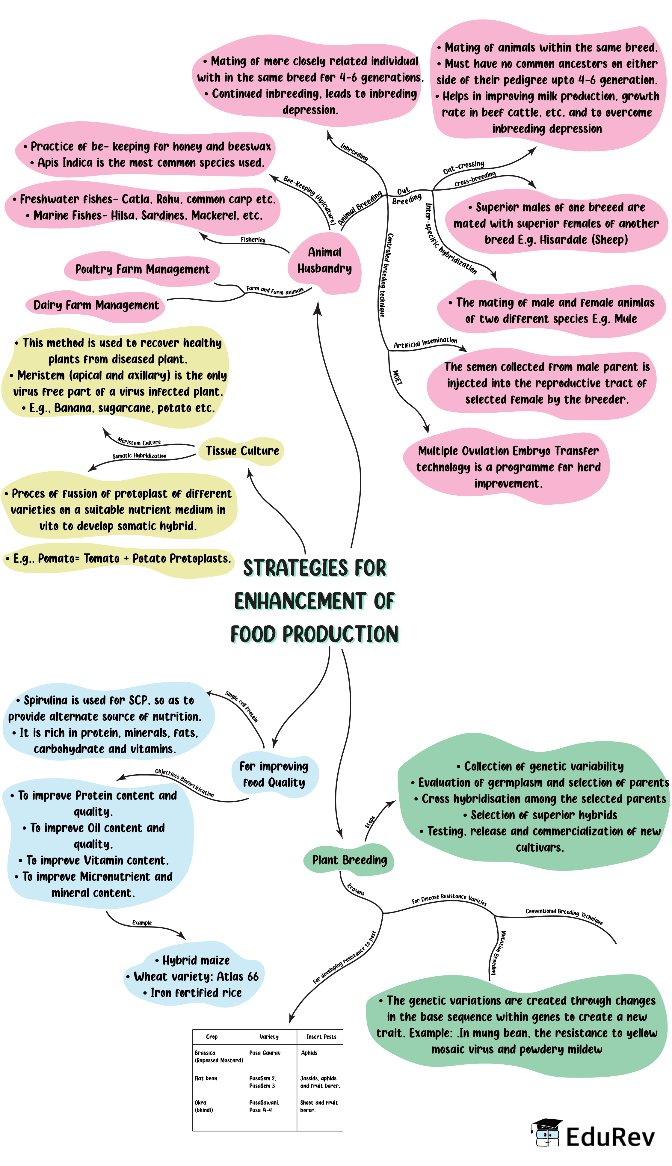 Mindmap: Strategies for Enhancement of Food Production (Old NCERT) | Class 6 to 12 NCERT Mindmaps for UPSC Preparation