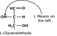 Carbohydrates & Their Classification | Organic Chemistry for NEET