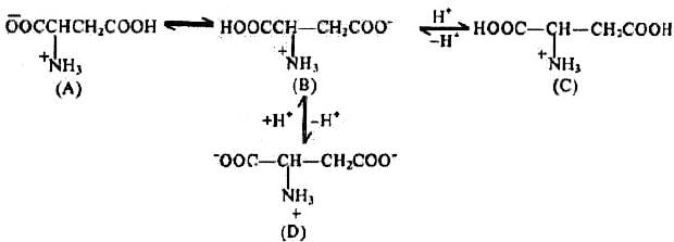Solved Subjective Problems : Biomolecules & Polymers | Organic Chemistry for NEET