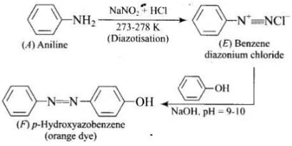 NCERT Exemplar: Amines | Chemistry Class 12 - NEET