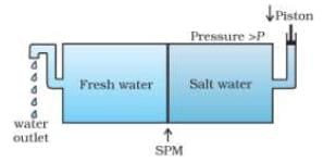 Reverse Osmosis & Water Purification | Additional Study Material for JEE