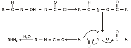 Basic Character & Preparation of Amines | Chemistry Class 12 - NEET