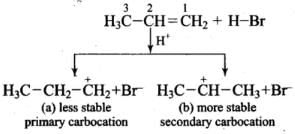 NCERT Exemplar: Hydrocarbons | Chemistry Class 11 - NEET