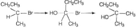 NCERT Exemplar: Haloalkanes and Haloarenes | Chemistry for JEE Main & Advanced