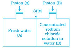 NCERT Exemplar: Solutions | Chemistry Class 12 - NEET