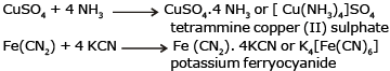 Werner’s Theory & Some Basic Concepts of Coordination Compounds | Chemistry Class 12 - NEET