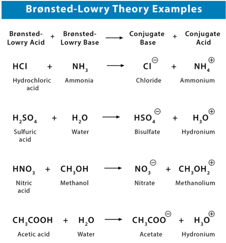 Acids, Bases & Salts | Chemistry Class 11 - NEET