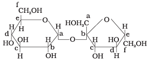 NCERT Exemplar: Biomolecules | Chemistry Class 12 - NEET