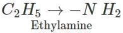 Short & Long Answer Question - Class 11
