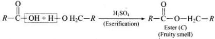 NCERT Exemplar: Aldehydes, Ketones & Carboxylic Acids | Chemistry Class 12 - NEET
