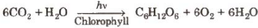 Group-14 Elements: Carbon Family | Chemistry Class 12 - NEET