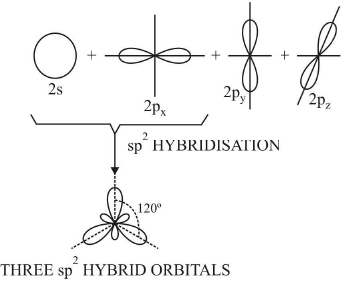 Hybridisation | Physical Chemistry for NEET