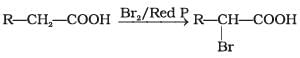 NCERT Exemplar: Aldehydes, Ketones & Carboxylic Acids | Chemistry Class 12 - NEET