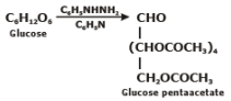 Structure of Glucose & Fructose | Chemistry Class 12 - NEET