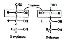 Carbohydrates: Monosaccharides, Disaccharides & Polysaccharides | Chemistry Class 12 - NEET