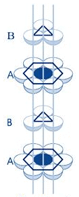 Hexagonal Packing