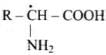 NCERT Exemplar: Biomolecules | Chemistry Class 12 - NEET