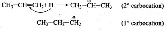NCERT Exemplar: Some Basic Principles & Techniques | Chemistry Class 11 - NEET