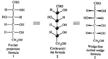 Carbohydrates: Monosaccharides, Disaccharides & Polysaccharides | Chemistry Class 12 - NEET