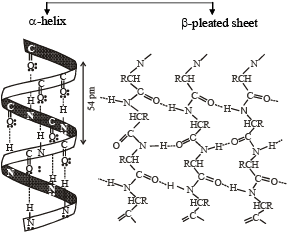Overview of Polymers: Addition & Polymerization | Chemistry for JEE Main & Advanced