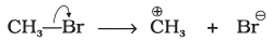 NCERT Exemplar: Some Basic Principles & Techniques | Chemistry Class 11 - NEET