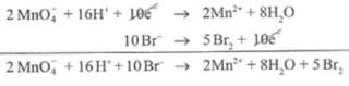 NCERT Exemplar: Redox Reactions | Chemistry Class 11 - NEET