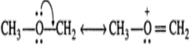 Short & Long Answer Questions: Hydrocarbons | Organic Chemistry for NEET